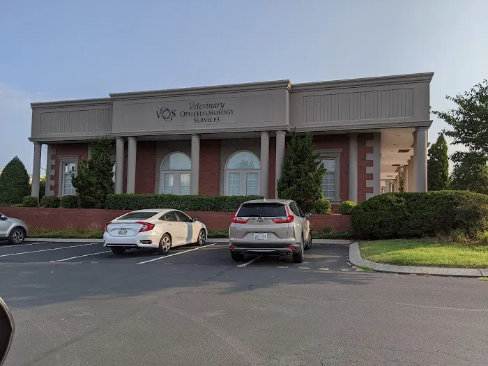 Veterinary Ophthalmology Services, Chattanooga Picture 3