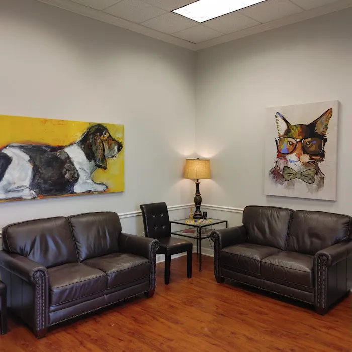 Veterinary Ophthalmology Services, Chattanooga Picture 7