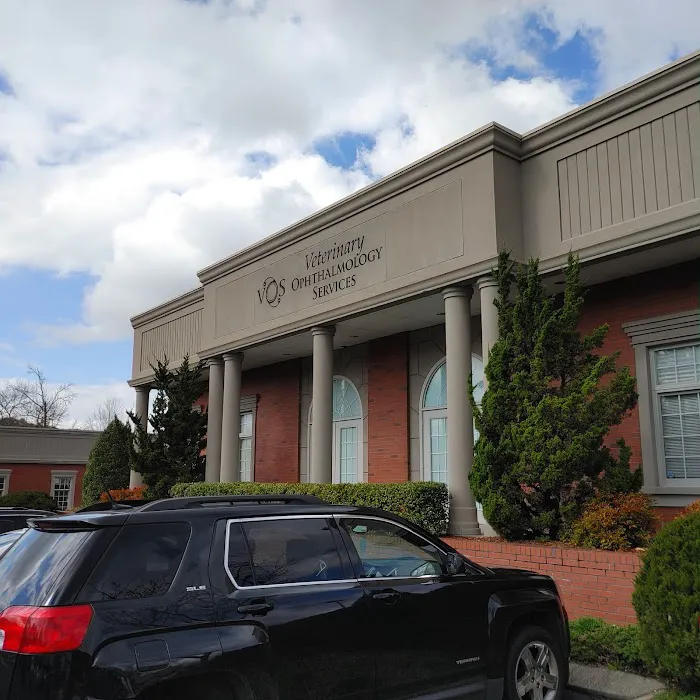 Veterinary Ophthalmology Services, Chattanooga Picture 6
