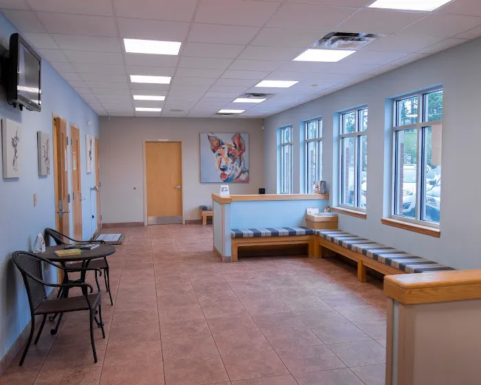 Animal Clinic East Picture 4