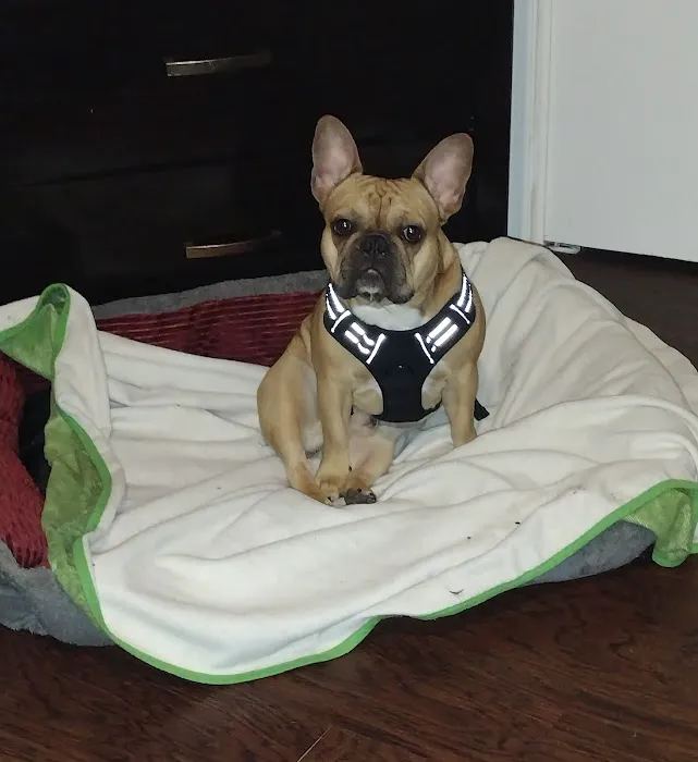 Animal Clinic East Picture 9