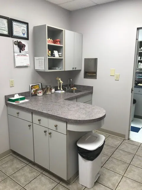 Appalachian Animal Clinic Picture 1
