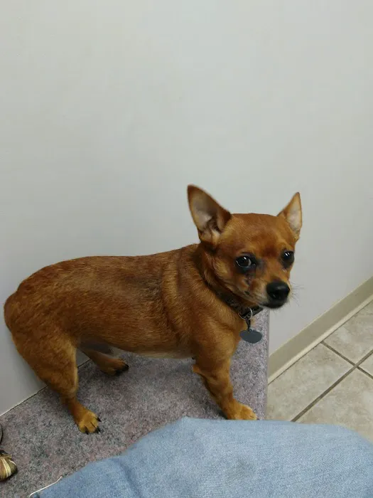 Appalachian Animal Clinic Picture 2