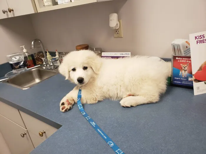 Appalachian Animal Clinic Picture 6