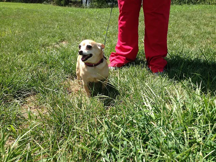 Appalachian Animal Clinic Picture 9