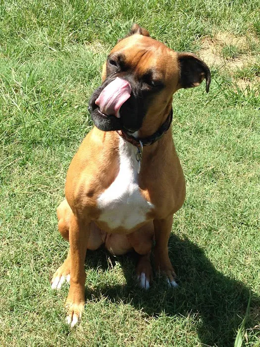Appalachian Animal Clinic Picture 10