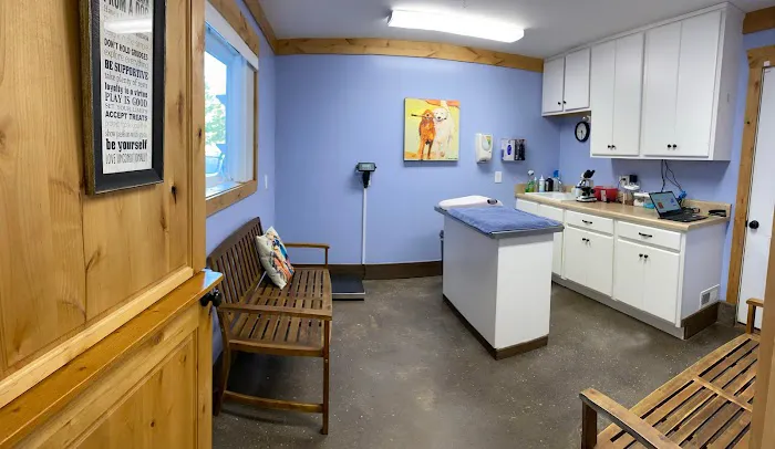 New Hope Pet Vet Picture 7