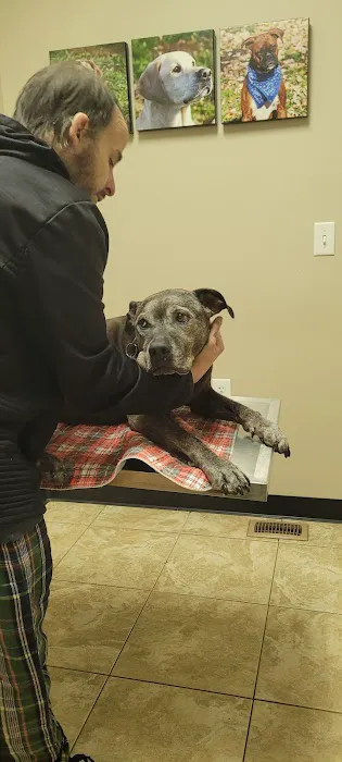 Main Street Animal Clinic Picture 4