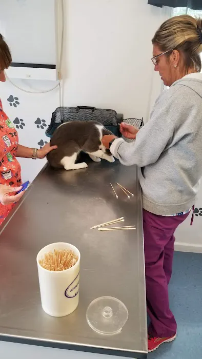 4 Paws Animal Clinic Picture 1