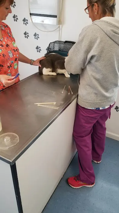 4 Paws Animal Clinic Picture 2