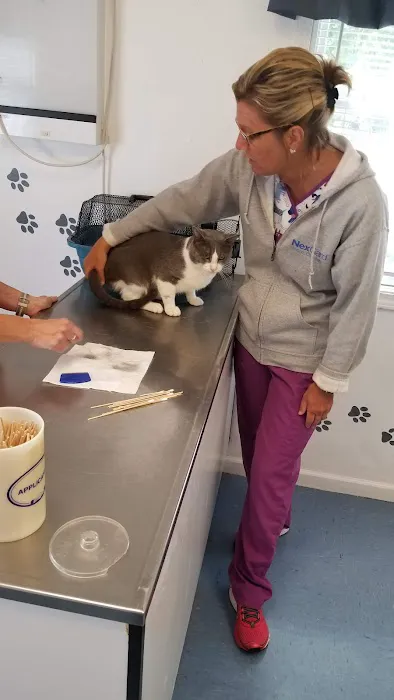 4 Paws Animal Clinic Picture 9