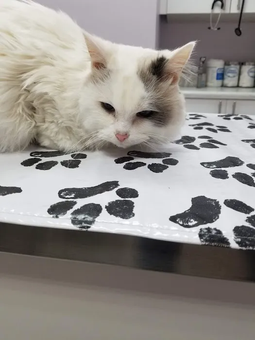 Tender Care Animal Hospital Picture 4