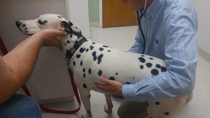 Tender Care Animal Hospital Picture 3