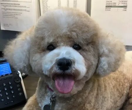Tender Care Animal Hospital