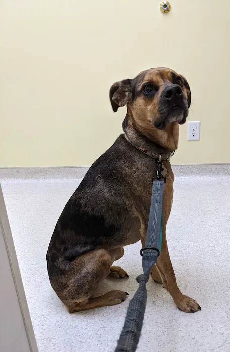 Tender Care Animal Hospital Picture 2