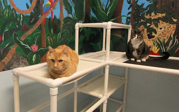 Tender Care Animal Hospital Picture 8