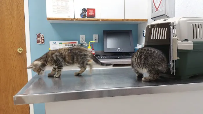Tender Care Animal Hospital Picture 9