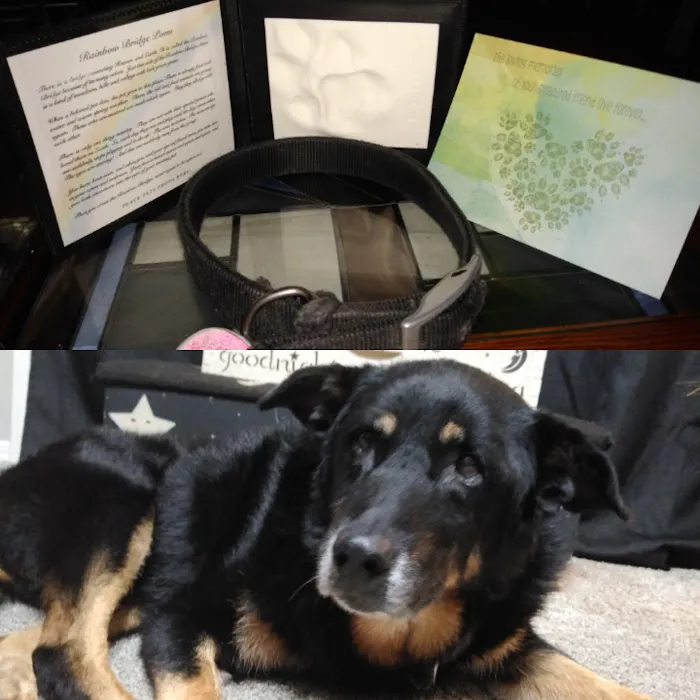 Animal Emergency Clinic Picture 9