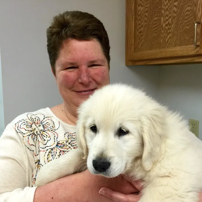 Washington Veterinary Medical Clinic Picture 6