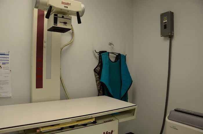 Washington Veterinary Medical Clinic Picture 1