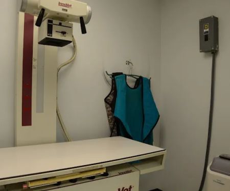 Washington Veterinary Medical Clinic