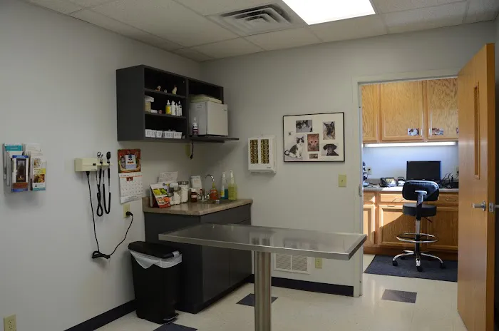 Washington Veterinary Medical Clinic Picture 5
