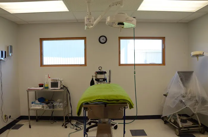Washington Veterinary Medical Clinic Picture 9