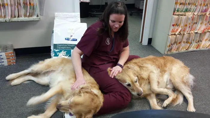 Germantown Hills Animal Hospital Picture 5