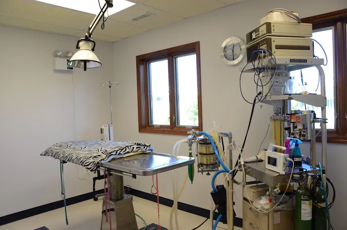Germantown Hills Animal Hospital Picture 7