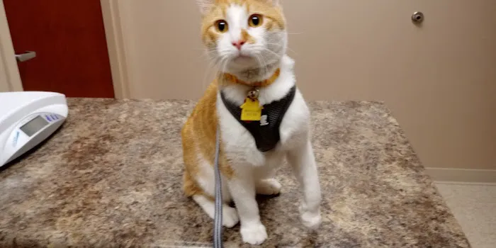 Heartland Veterinary Clinic Picture 7