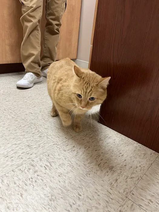 Heartland Veterinary Clinic Picture 10