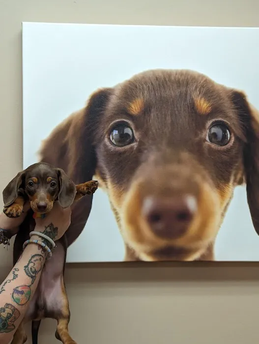 Heartland Veterinary Clinic Picture 8