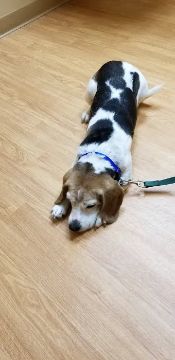 Bureau Valley Veterinary Service Picture 6