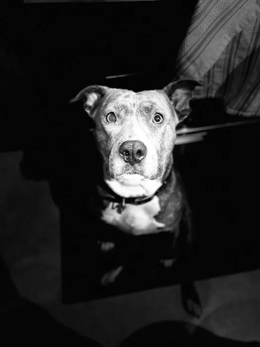 Wenona VetCare Picture 3