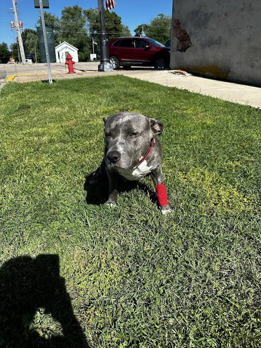 Wenona VetCare Picture 5