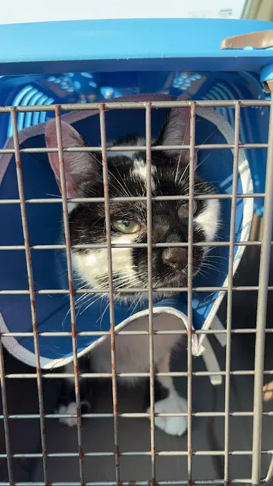 Wenona VetCare Picture 7