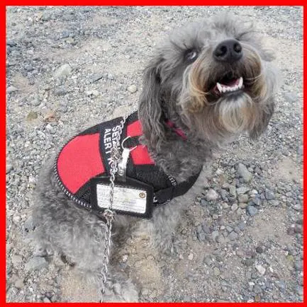 AMBOY VETERINARY CLINIC Picture 3