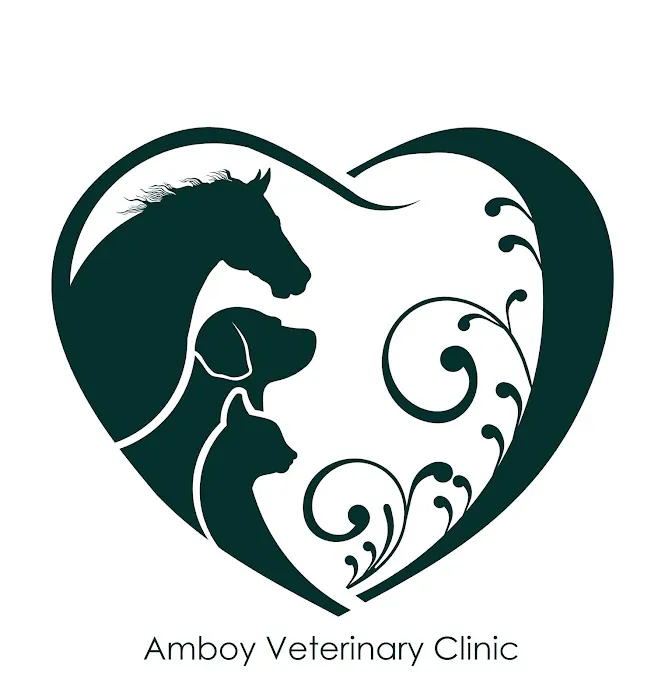AMBOY VETERINARY CLINIC Picture 9
