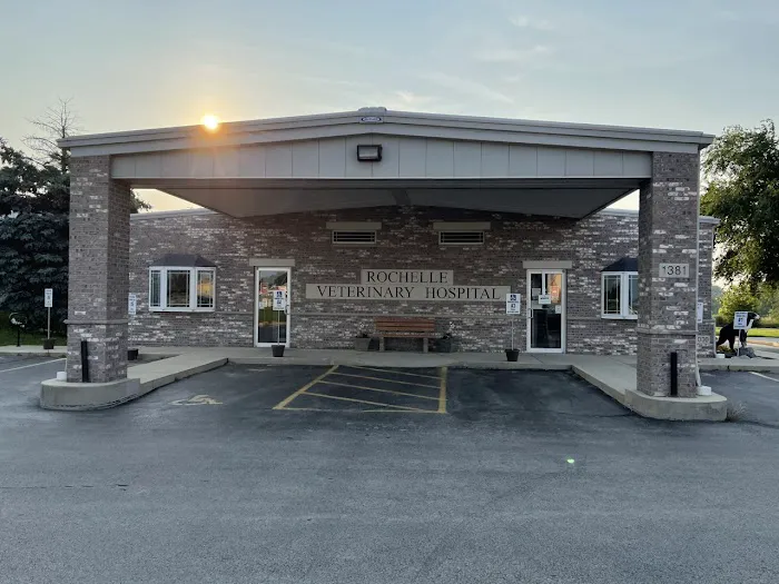 Rochelle Veterinary Hospital Picture 10