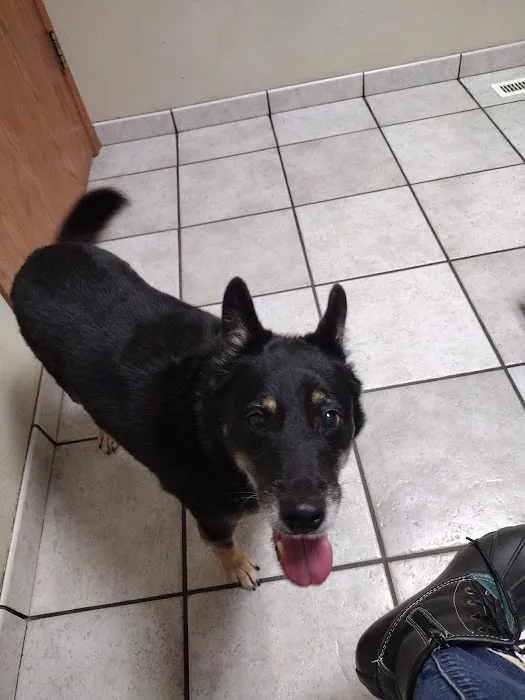 Tyler Veterinary Clinic Picture 3