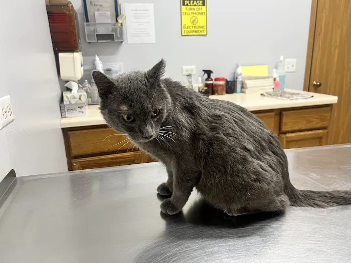 Fox Lake Animal Hospital. Picture 3