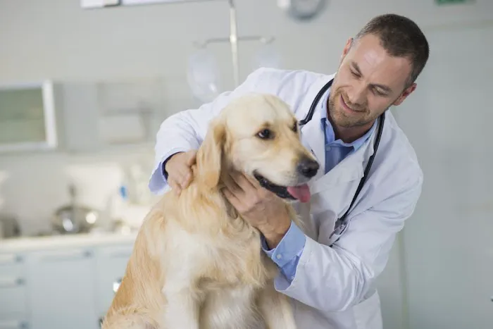 Fox Lake Animal Hospital. Picture 2