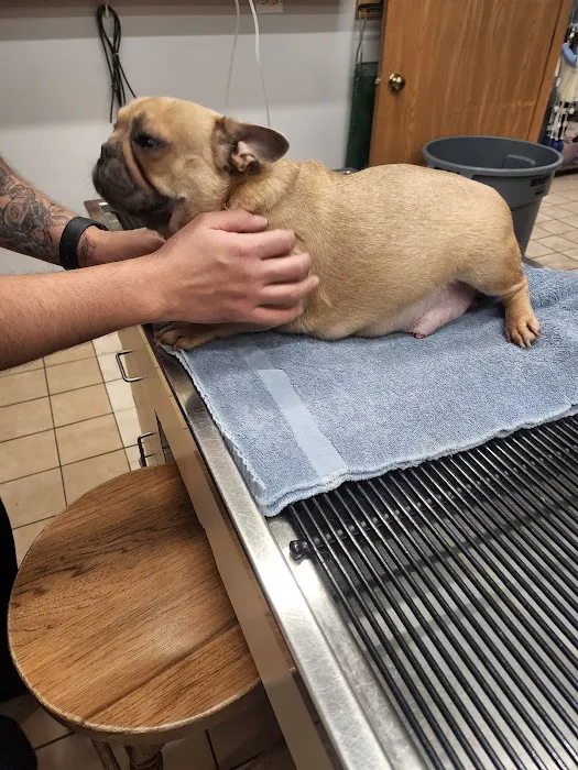 Fox Lake Animal Hospital. Picture 4