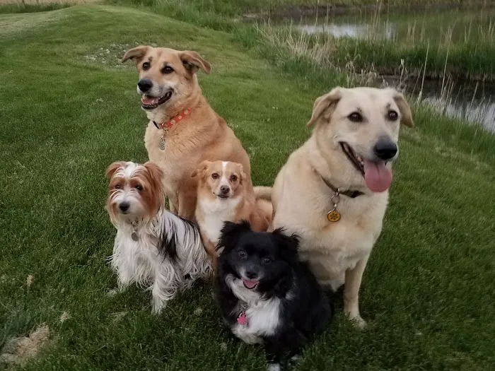 Best Friends Animal Hospital Picture 7