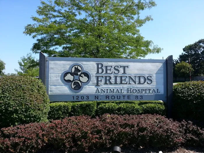 Best Friends Animal Hospital Picture 6