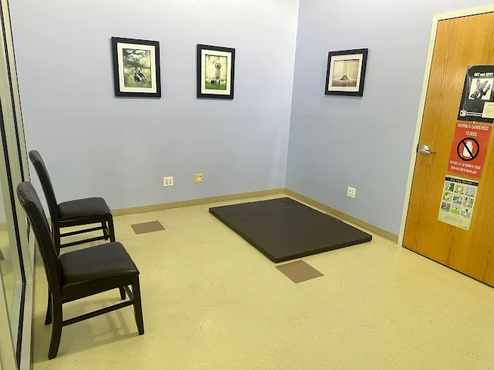 Canine Center Picture 4