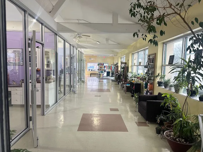 Canine Center Picture 2