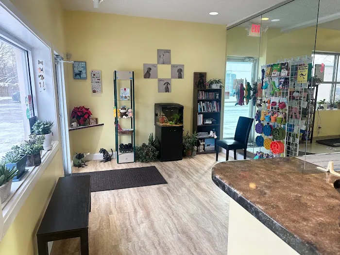 Canine Center Picture 6