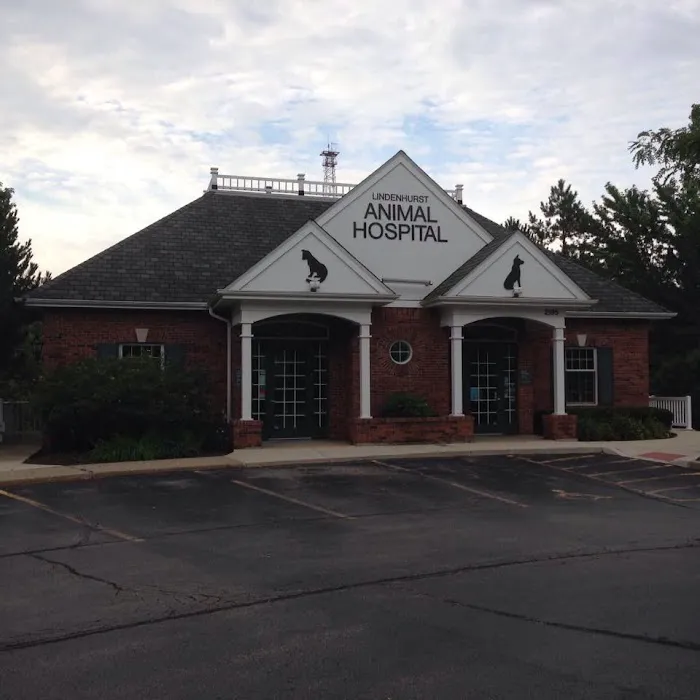 Lindenhurst Animal Hospital Picture 9