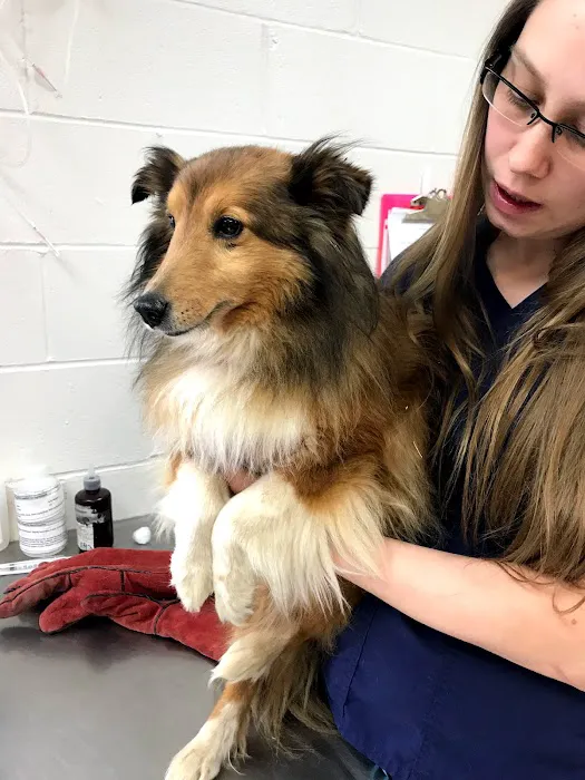 Riverside Animal Clinic & Holistic Center Picture 3